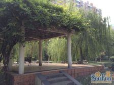 精装自住3房,电梯高区,有车位,诚意出售,看房约!