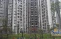 东桂小区实景图