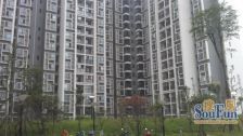 东桂三号院3室2厅东南