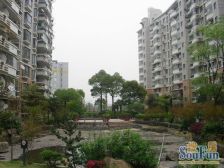 沿河电梯高区三房 南北通透 近9 10号线