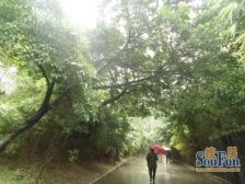 斌鑫辰光华府 1室1厅 东