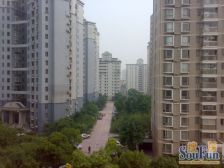 近地铁,中间楼层 电梯房 必看好房