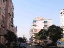 三林·南江苑·1室·1厅