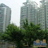 第五大道1室1厅南