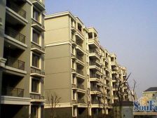 缘圆宝邸 1室1厅 南