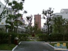 金色中环带!南北通透!交通便利!