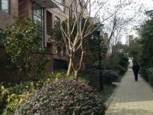 大开间,独立电梯,采光充足,价格好谈