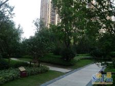 花城二期 复式楼 毛坯 景观房 地铁近 急售