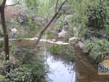 大坪 嘉华鑫城一房62万