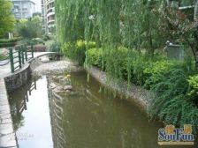 白玉兰奖项得主 边套版式格局 安静位置适宜自住