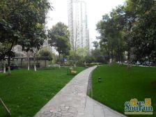 徐家汇地铁+莱诗邸+大平层+前排沿街商铺+不通燃气