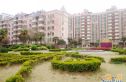 典雅居名雅阁实景图
