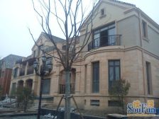 张江南 +总高三层的二三层+沿河位置佳+交通便利