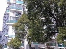 15号线外面有花园的两房,光线好,产权清晰,诚意出售