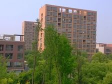 新浦江城(江桦路399弄) 2室1厅 南