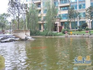 恒大城3室2厅东南