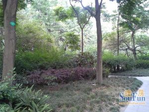 江南房子北区 5室1厅 东南