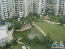 满五 朝西南 高区 赏黄浦江江景百年外滩万国建筑群景