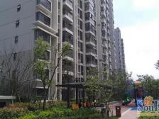 14年纯商品房、户型优质、低总价、新环广场、配套成熟