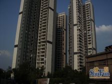 一线江景、楼层好、视野开阔、装修保养好