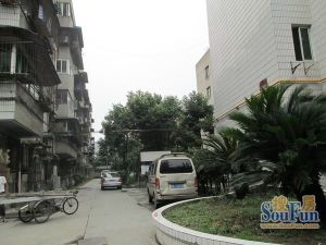 新油乐园3室2厅东西