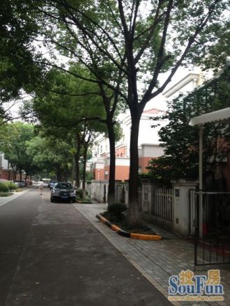 水仙苑实景图