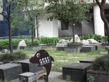 发展潜力大,紧挨来福士,精装修,朝天门CBD