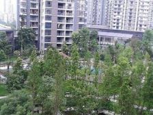 绿岛新区 锦春绿岛新都二房53.8万