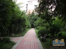 万树森林一期1室2厅南