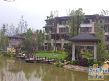 美利溪镇联排别墅 上坡户型 电梯井 带花园 带露台