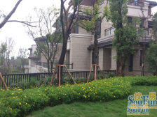 嘉陵江畔联排端户出售花园150平米朝南看礼嘉视野好