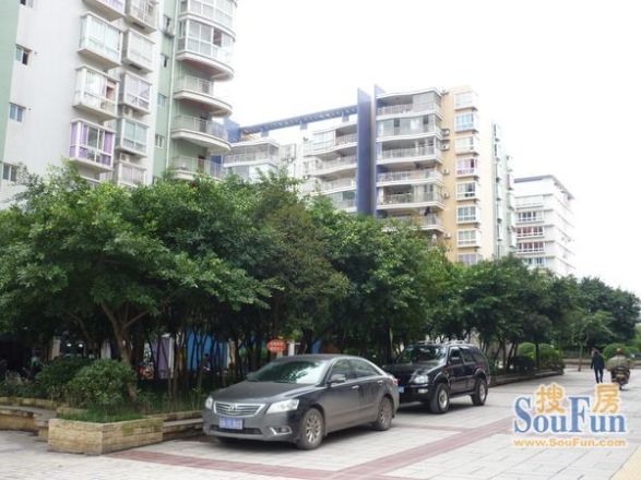 锦绣丽舍实景图