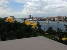 汇景 独栋大别墅 大花园 业主诚售 看房方便