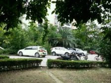 紫翠苑 2室2厅1卫 南