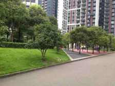 大学城装修两室,户型方正,视野好无遮挡,业主安心卖