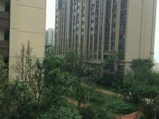 采光良好格局合理,灵动空间,生活充满灿烂..