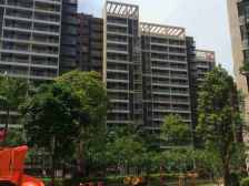 房子格局方正,安静舒适,环境优美