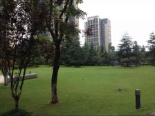 汽博中心 奥林匹克花园七期(紫枫郡)四房150万