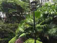 汽博中心 奥林匹克花园四期三房