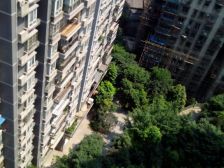 小区电梯房,适合过渡,出行便捷,生活方便