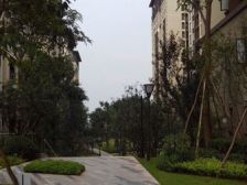 龙湖花漫庭精装修单配 采光好 视野开阔 看房方便