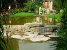 金科绿韵康城 2室1厅 南