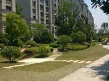 品质小区 金科W府 满五年金装 位置采光好 一梯一户 采光好