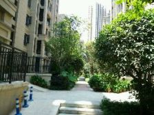 协信阿卡迪亚精装联排别墅 业主诚心出售