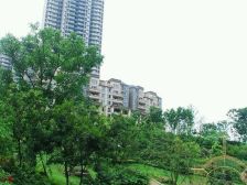 中交丽景 3室1厅 南