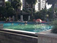 龙头寺 鲁能星城十一街区三房180万