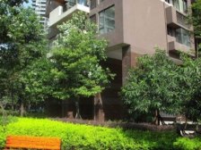 三峡广场 融汇国际温泉城A区(泉景)二房80万