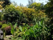 农业园区 万科渝园三房280万