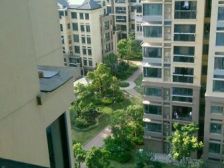 金成家园、简装、有钥匙随时看房、周边商圈成熟、交通便捷