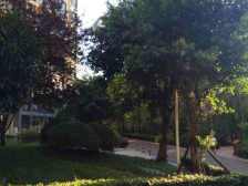 金科品质楼盘,住家安静,交通便捷,配套齐全